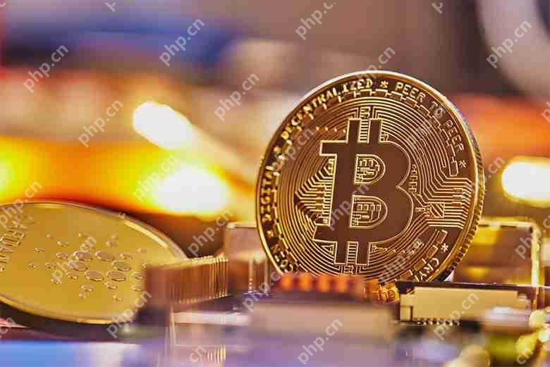 如何计算比特币挖矿机的利润？理解矿工的盈利能力